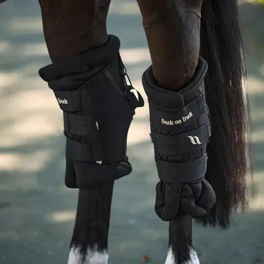 Deluxe Royal Padded Hock Boots