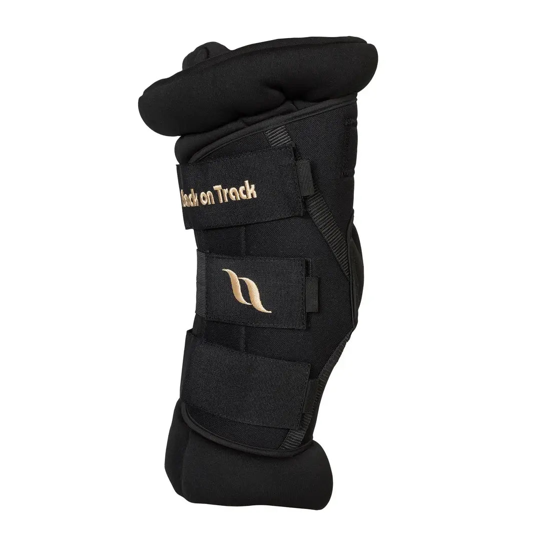 Deluxe Royal Padded Hock Boots
