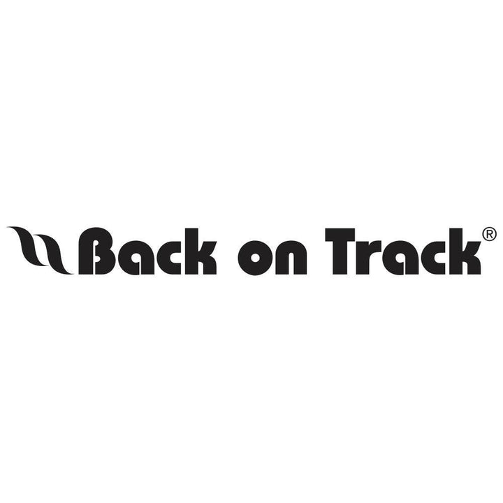 Back On Track logo