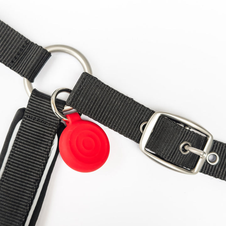 Personalised Smart Equine ID Tag