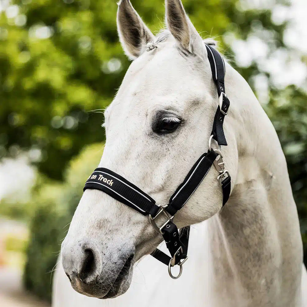 Werano Horse Halter Headstall