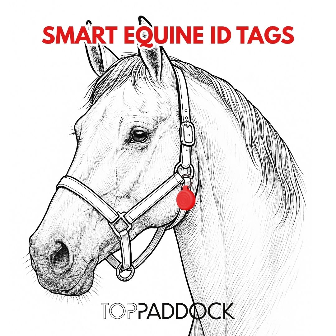 Personalised Smart Equine ID Tag