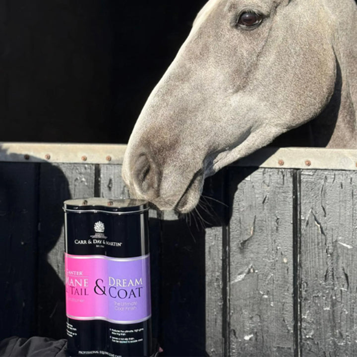 CDM Canter Mane & Tail and Dreamcoat Duo Pack in a purple and pink tin, featuring premium horse grooming products for mane, tail, and coat care alongside a horse.