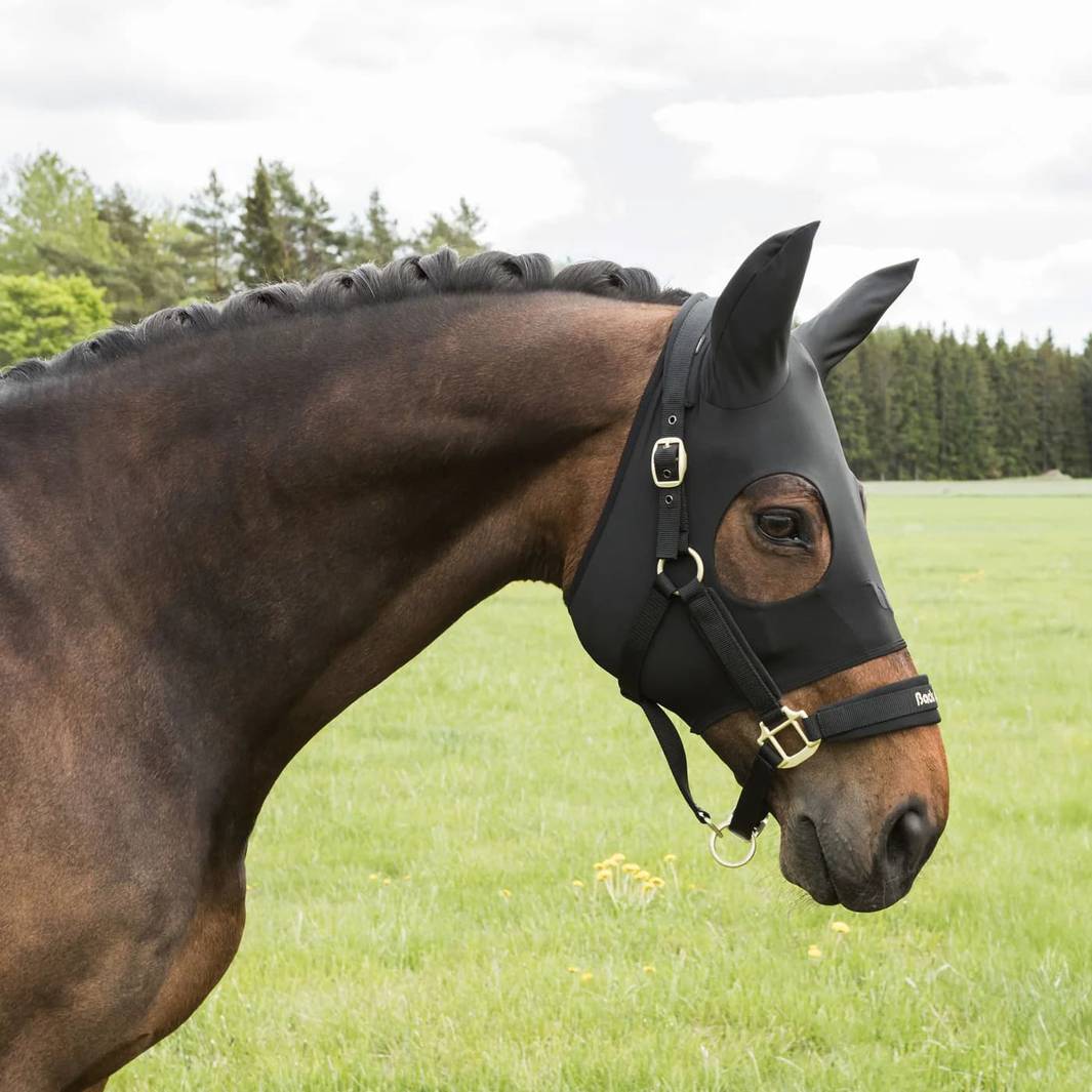 Side view of a horse in a field wearing a black therapeutic compression hood with ear coverage and eye cutouts for stress relief.