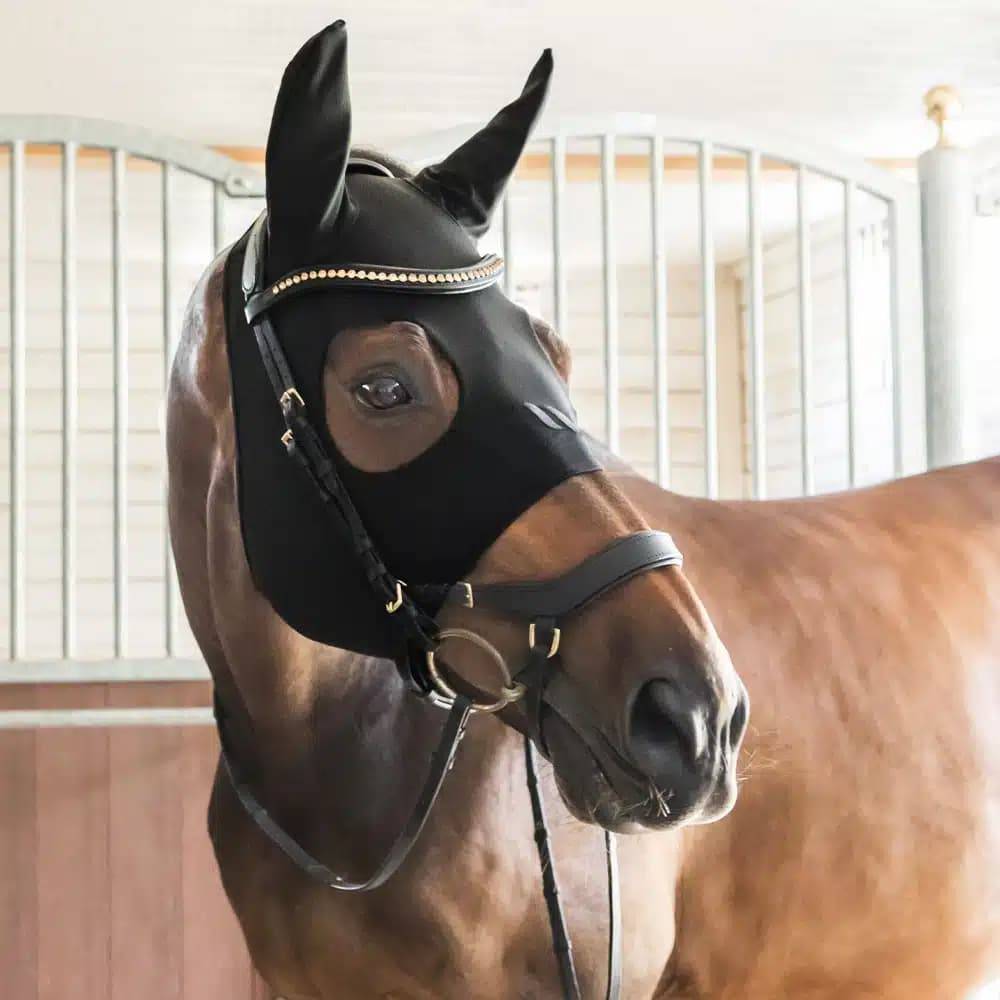 Horse in a stable wearing a black therapeutic compression hood with ear coverage, eye cutouts, and decorative bridle.