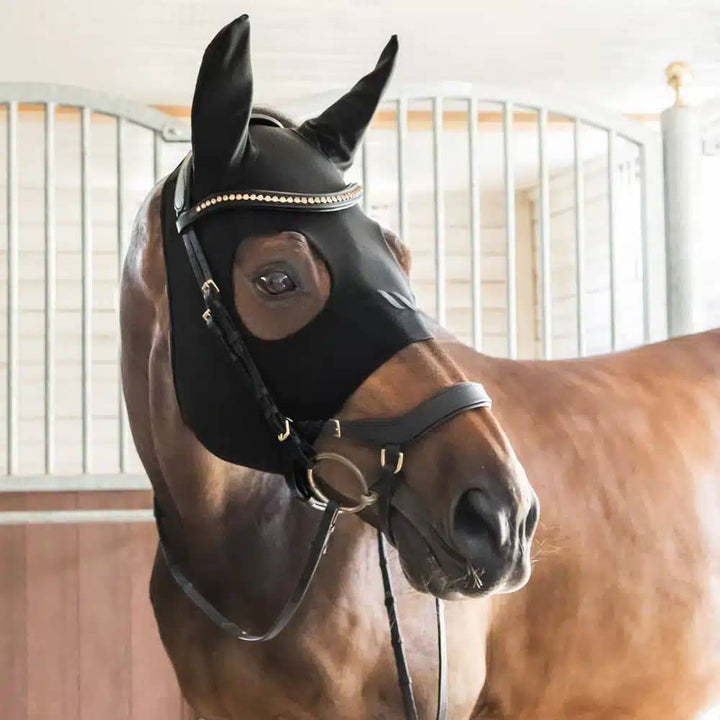 Horse in a stable wearing a black therapeutic compression hood with ear coverage, eye cutouts, and decorative bridle.