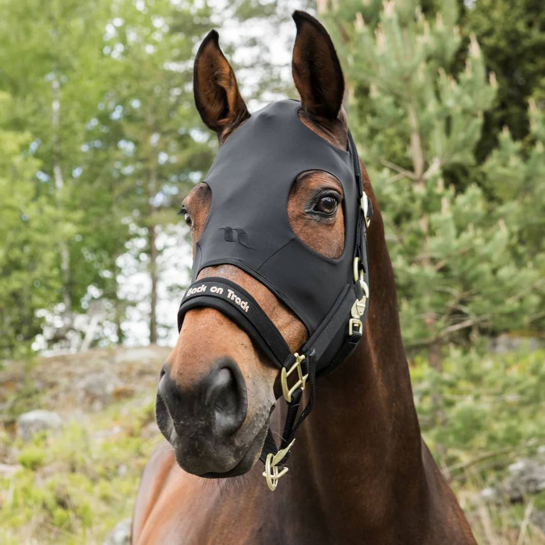 Horse outdoors wearing a black compression hood with ear coverage and eye cutouts, featuring a halter for secure fit.