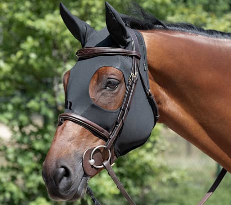 Horse wearing a black compression hood with ear coverage and eye cutouts, paired with a bridle for equestrian activities.