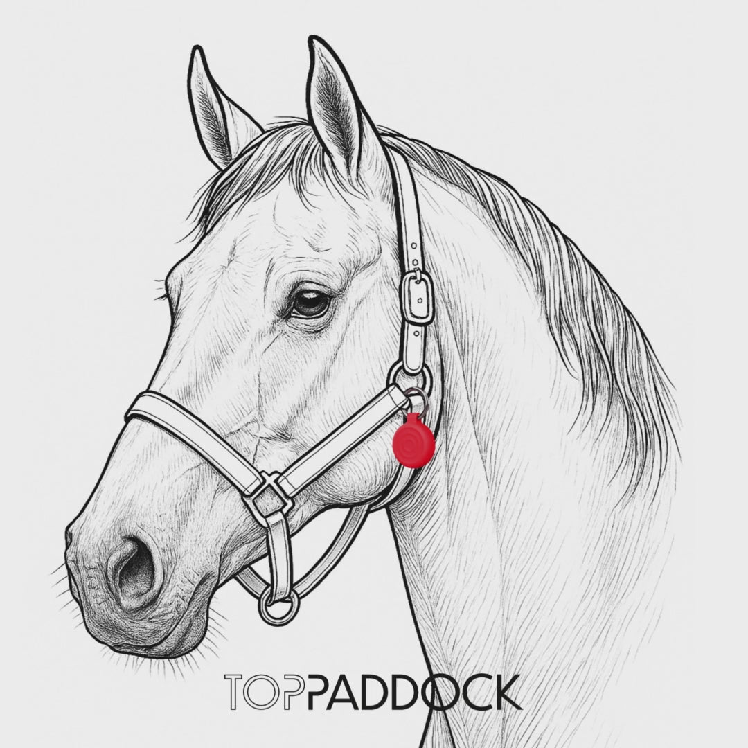 Personalised Smart Equine ID Tag