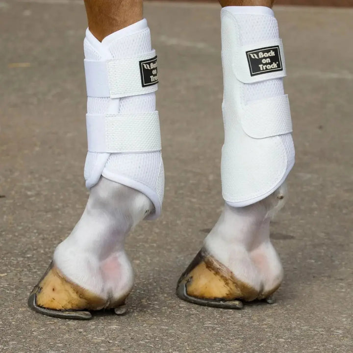 White 3D Mesh Brushing Boots fitted on a horse's legs, offering comfort and protection for daily exercise routines.