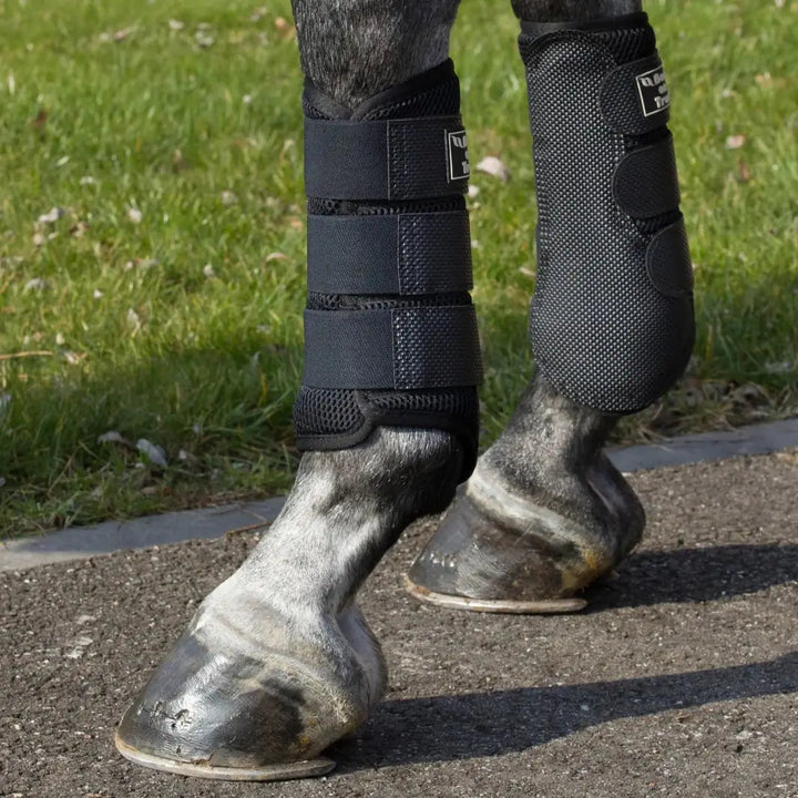 Black 3D Mesh Brushing Boots on a horse's legs, providing therapeutic support and protection during outdoor activities.