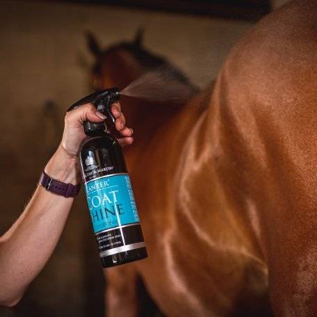 Person spraying Canter Coat Shine on a horse's coat, showcasing its easy application for a glossy, stain-resistant finish.