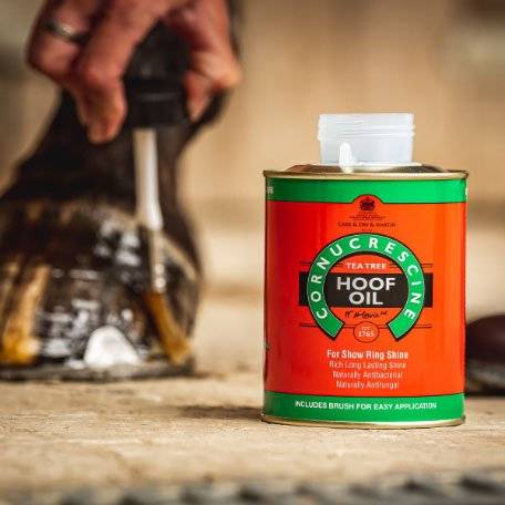 CDM Cornucrescine Tea Tree Hoof Oil being applied to a horse's hoof with a brush, showcasing its easy application and shine-enhancing properties.