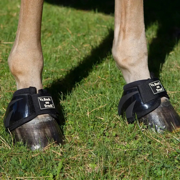 Performance Bell Boots - Top Paddock