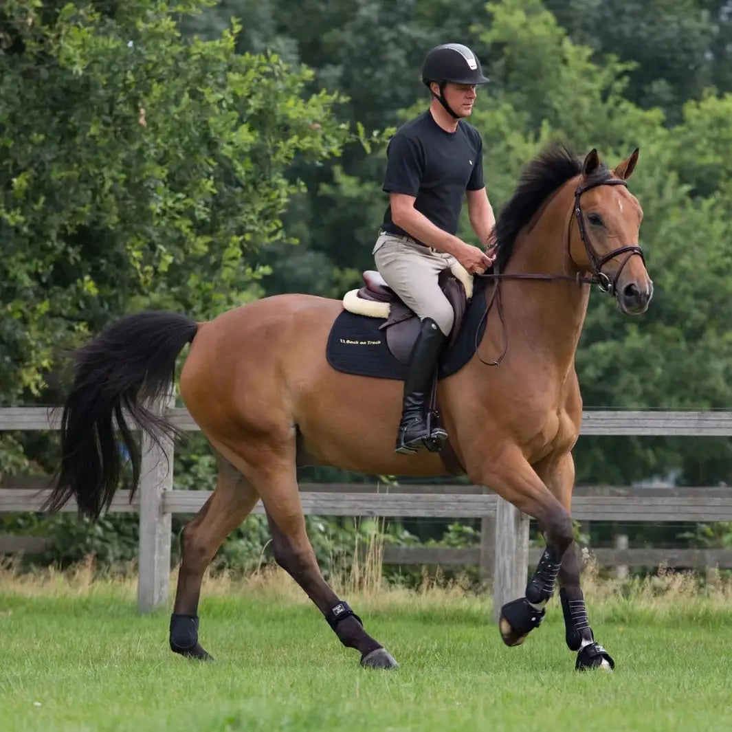 Horse wearing Royal Dressage Front Boots by Back On Track, ridden by a rider in an outdoor setting for equestrian training.