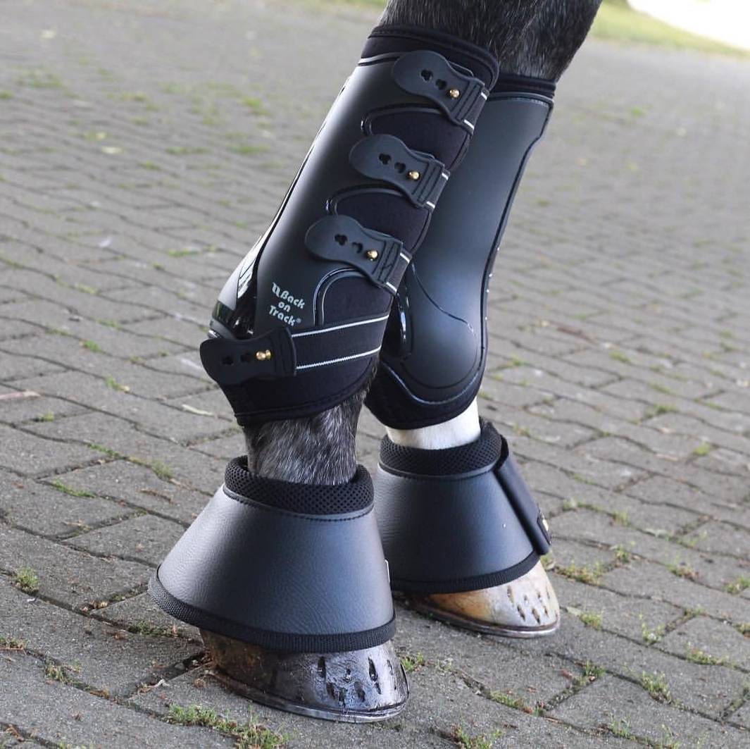 Royal Dressage Front Boots in black on a horse's legs, providing therapeutic support and protection during training.