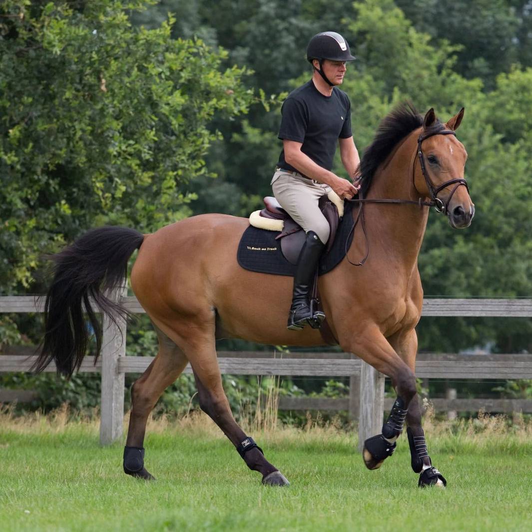 Royal Work Hind Boots - Top Paddock