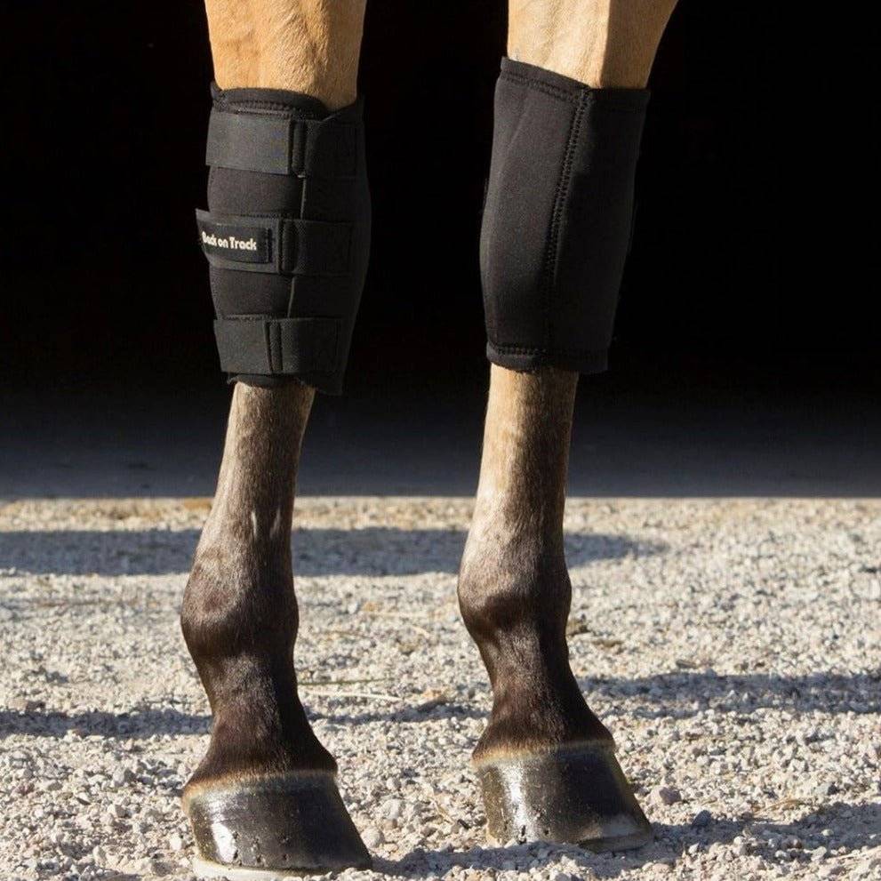 Pair of therapeutic horse knee boots by Back On Track Australia fitted on a horse, providing support and protection for the knee area.