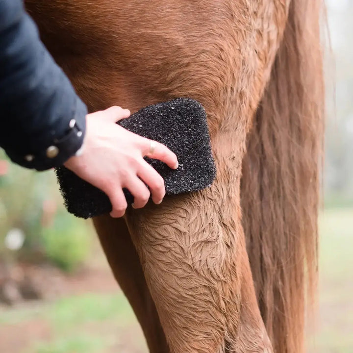 Person using the Tiger's Tongue Horse Groomer to clean a horse's leg, effectively removing dirt and debris.