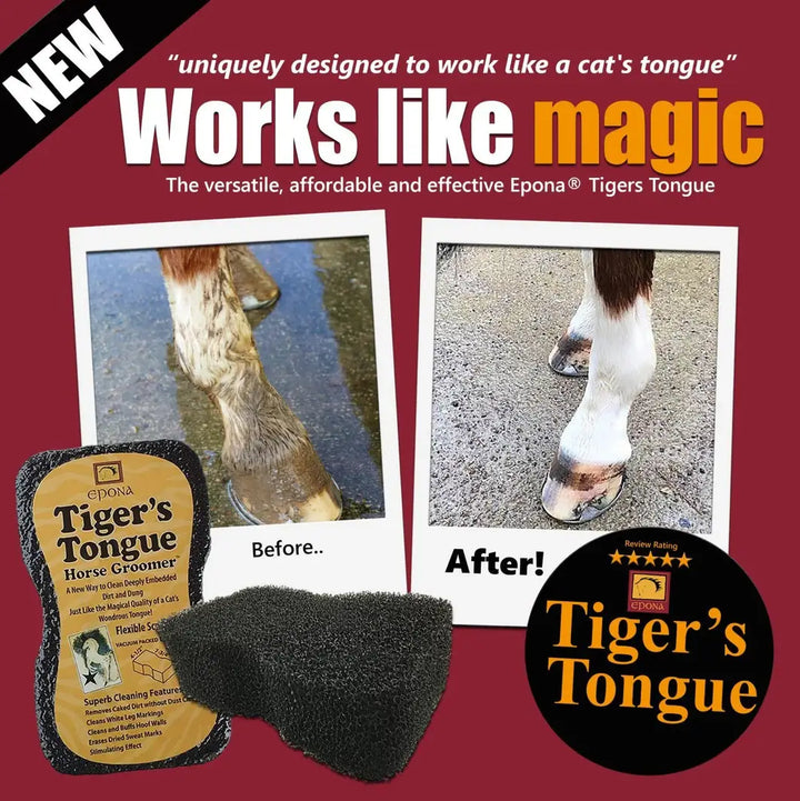 Tiger's Tongue Horse Groomer before-and-after comparison showing effective dirt removal from a horse's leg.